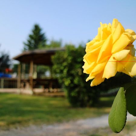 Agriturismo Ai Vigneti Ponti sul Mincio Esterno foto